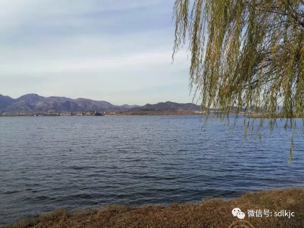 圖片.png 圖片.png